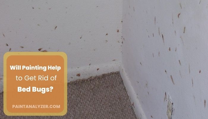 Bed Bugs in Walls