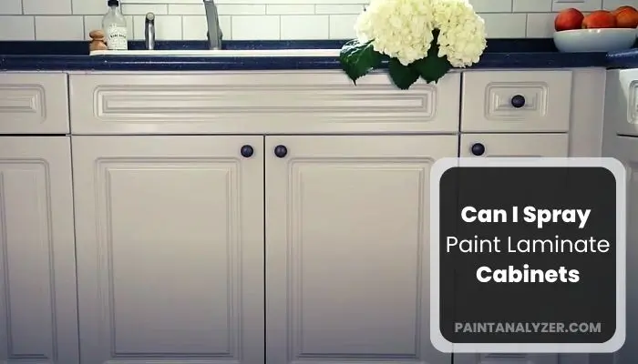 Can I Spray Paint Laminate Cabinets