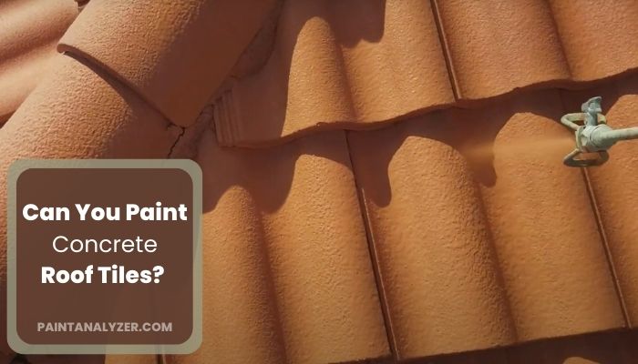 Can You Paint Concrete Roof Tiles