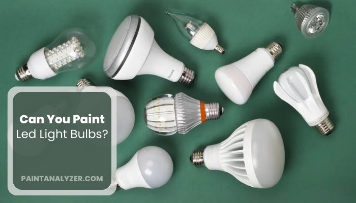 Can You Paint Led Light Bulbs