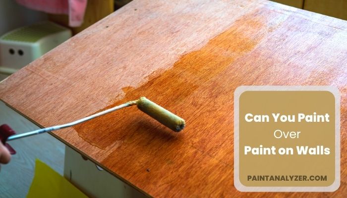 Can You Paint Over Lacquer