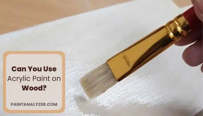 Can You Use Acrylic Paint on Wood