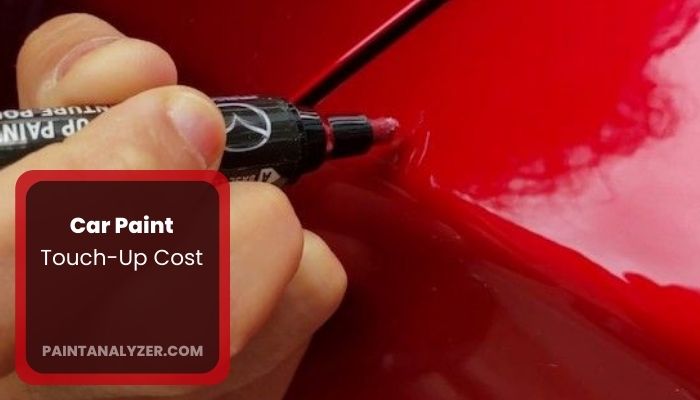 Car Paint Touch-Up Cost