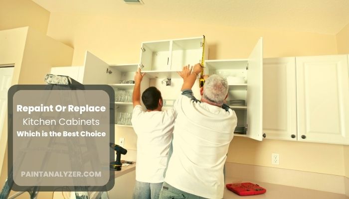 Repaint Or Replace Kitchen Cabinets Which is the Best Choice