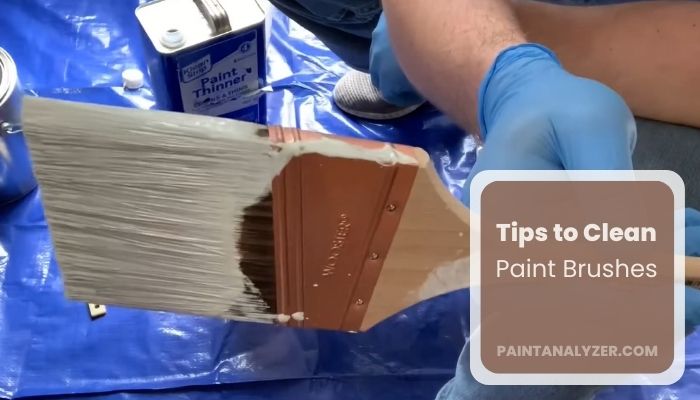 Tips to Clean Your Paint Brushes