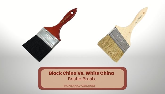 Black China Vs. White China Bristle Brush: What's Better
