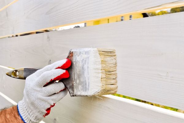 Will Paint Adhere To Pressure Treated Wood