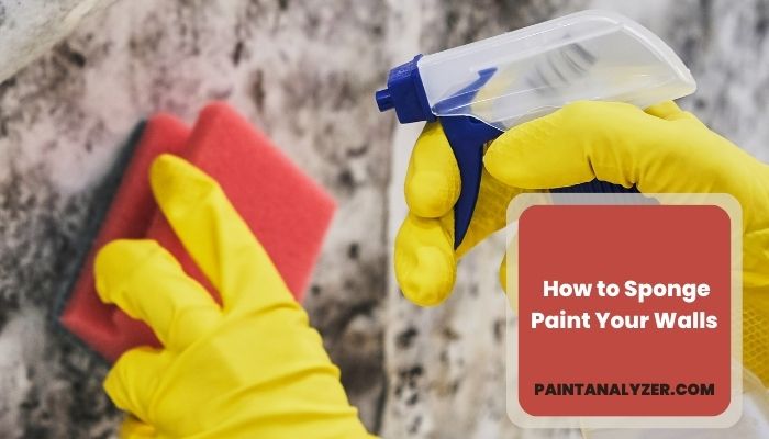 How To Sponge Paint Your Walls (Multiple Colors)