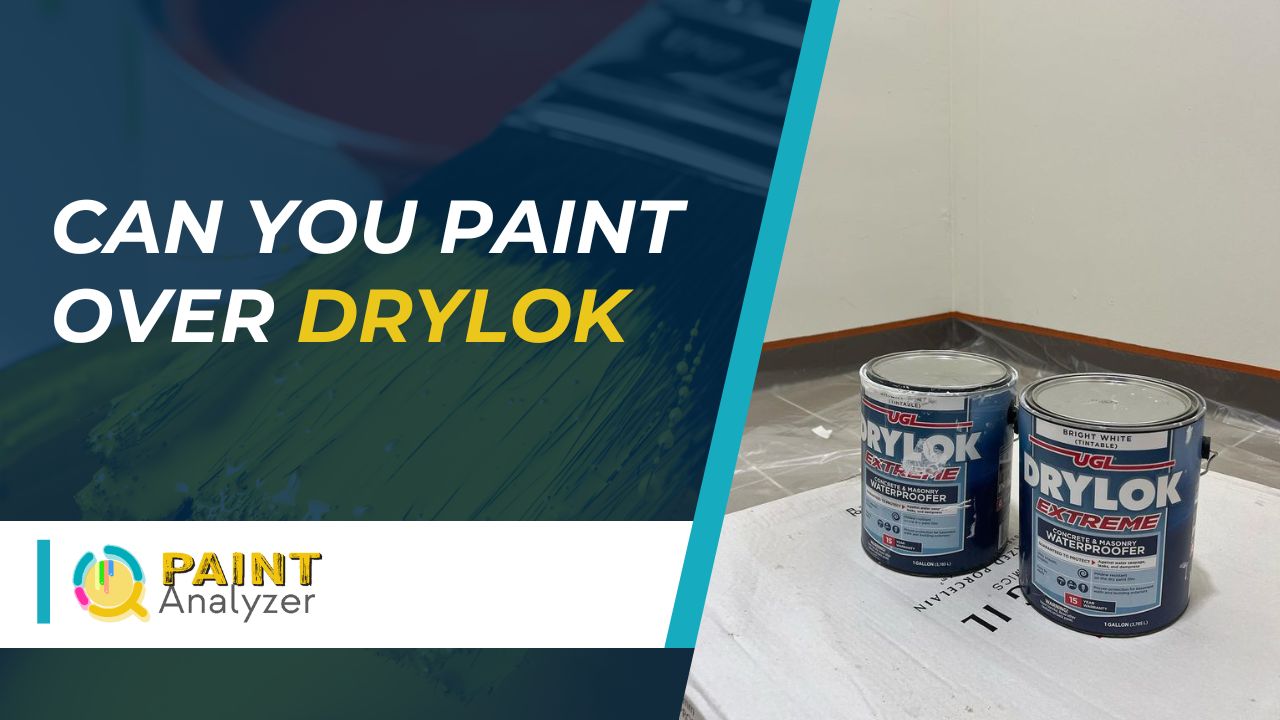 Can You Paint Over Drylok