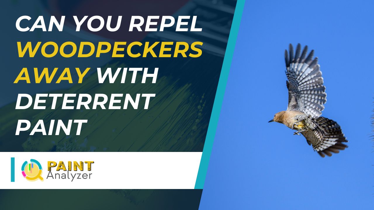Can You Repel Woodpeckers Away With Deterrent Paint